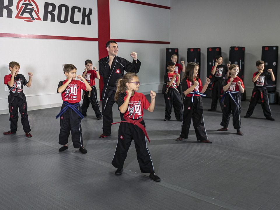 tiger rock martial arts training for kids